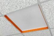 DA-ORANGE - Image 7